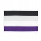 LGBT SUURI sateenkaarilippu 90x150cm ASEXUALITY F10 hinta ja tiedot | Liput | hobbyhall.fi