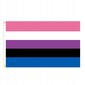 LGBT SUURI sateenkaarilippu 90x150cm GENDERFLUID F4 hinta ja tiedot | Liput | hobbyhall.fi