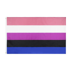 LGBT SUURI sateenkaarilippu 90x150cm GENDERFLUID F4 hinta ja tiedot | Liput | hobbyhall.fi