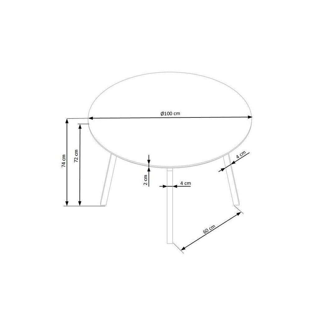 Ruokapöytä Balgor Ø100 cm, harmaa hinta ja tiedot | Ruokapöydät | hobbyhall.fi