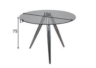 Ruokapöytä Ø 100 cm hinta ja tiedot | Ruokapöydät | hobbyhall.fi