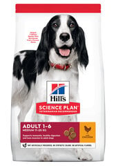 Hill's Science Plan Medium Adult Breeder pussi koiranruokaa kanan kanssa, 14 kg hinta ja tiedot | Koiran kuivaruoka | hobbyhall.fi