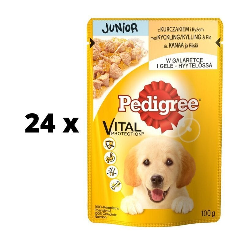 Pedigree Junior, purkkiruoka koirille, kanan kanssa, 100 g. hinta ja tiedot | Koiran märkäruoka | hobbyhall.fi