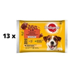 Pedigree Aikuisten säilykesarja koirille, 100 g. hinta ja tiedot | Koiran märkäruoka | hobbyhall.fi