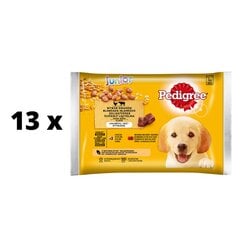 Koiranruokasetti Pedigree Junior, 4 x 100 g x 13 kpl hinta ja tiedot | Koiran märkäruoka | hobbyhall.fi