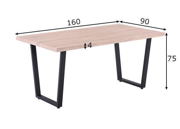 Ruokapöytä 90x160 cm hinta ja tiedot | Ruokapöydät | hobbyhall.fi