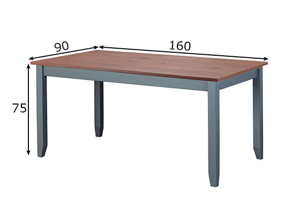 Ruokapöytä Luzerna 90x160 cm hinta ja tiedot | Ruokapöydät | hobbyhall.fi