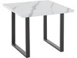 Sohvapöytä Loft24, valkoinen/musta hinta ja tiedot | Sohvapöydät | hobbyhall.fi