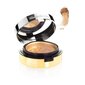 Puuterimeikinpohjustustuote Elizabeth Arden Pure Finish Mineral Nº 4 (8,33 g) hinta ja tiedot | Meikkivoiteet ja puuterit | hobbyhall.fi