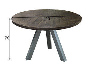 Ruokapöytä Tische Ø120 cm hinta ja tiedot | Ruokapöydät | hobbyhall.fi
