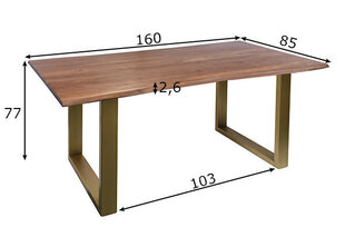 Ruokapöytä Tische 85x160 cm hinta ja tiedot | Ruokapöydät | hobbyhall.fi