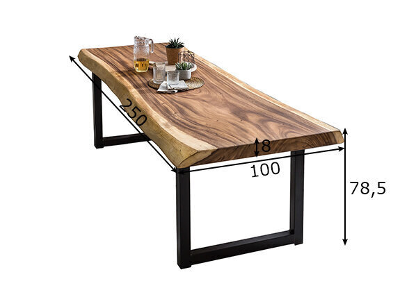 Ruokapöytä Tische 100x250 cm hinta ja tiedot | Ruokapöydät | hobbyhall.fi