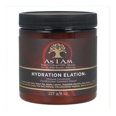 Hoitoaine As I Am Hydration Elation Intensive Conditioner (237 ml) (227 g) hinta ja tiedot | As I Am Hajuvedet ja kosmetiikka | hobbyhall.fi