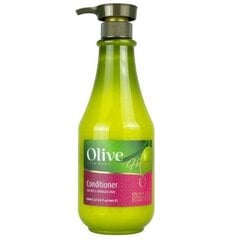 Hiustenhoitoaine Frulatte Olive, 800 ml hinta ja tiedot | Frulatte Hiustenhoitotuotteet | hobbyhall.fi