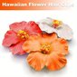 '1kpl havaijin kukkaklipsit naisille plumeria hibiscus hiusklipsit tekokukkaklipsit loma rantabileisiin' hinta ja tiedot | Hiustarvikkeet | hobbyhall.fi