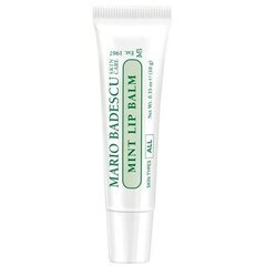 MARIO BADESCU Minttuhuulivoide 10g hinta ja tiedot | Huulipunat, huulikiillot ja huulirasvat | hobbyhall.fi