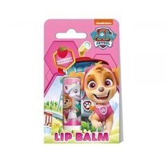 Huulirasva Air-Val Paw Patrol Raspberry 4,4g hinta ja tiedot | Huulipunat, huulikiillot ja huulirasvat | hobbyhall.fi