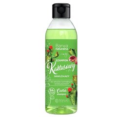 Luonnollinen kosteuttava kaktusshampoo normaaleille ja kuiville hiuksille 300ml hinta ja tiedot | Shampoot | hobbyhall.fi