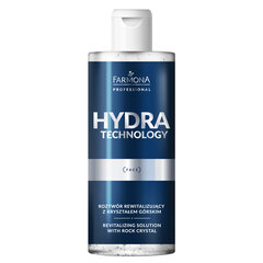 " Farmona hydra technology elvyttävä liuos vuorikristallilla 500 ml Farmona hydra technology elvyttävä liuos vuorikristallilla 500 ml hinta ja tiedot | Kasvojen puhdistusaineet | hobbyhall.fi