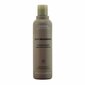 Tuuheuttava shampoo Pure Abundance Aveda (1000 ml) hinta ja tiedot | Shampoot | hobbyhall.fi