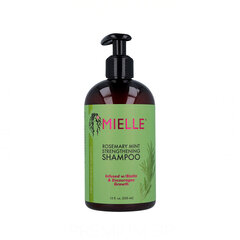 Shampoo Mielle Rosemary Mint Scalp &amp; Hair Strength (355 ml) (355 ml) hinta ja tiedot | Shampoot | hobbyhall.fi