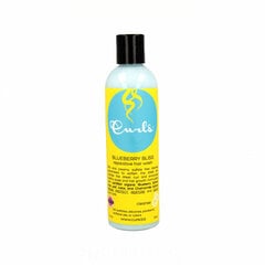 Repairing Conditioner Curls Blueberry Bliss Hair Wash (236 ml) hinta ja tiedot | Shampoot | hobbyhall.fi