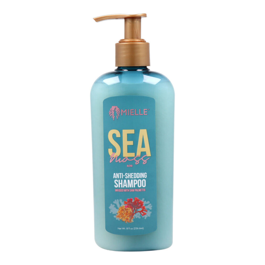 Shampoo Mielle Sea Moss (236 ml) hinta ja tiedot | Shampoot | hobbyhall.fi