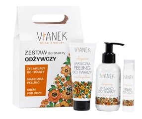 Vianek Ravitseva Kasvohoitosetti: Puhdistusgeeli 150 ml + Silmänympärysvoide 15 ml + Kuoriva Naamio 70 ml hinta ja tiedot | Vianek Hajuvedet ja kosmetiikka | hobbyhall.fi