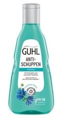 Guhl, Sinkkipitoisuudella Tehostettu Hilse Shampoo, 250 ml hinta ja tiedot | Shampoot | hobbyhall.fi