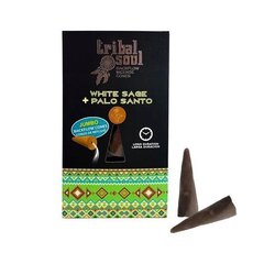 Backflow suitsukekäpyjä White Sage Palo Santo, Tribal Soul, 15g hinta ja tiedot | Huonetuoksut | hobbyhall.fi