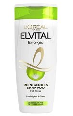 Loreal Puhdistava Shampoo, 300ml (TUOTE SAKSASTA)---**Uusi nimi**: Loreal Syväpuhdistava Shampoo, 300 ml hinta ja tiedot | Shampoot | hobbyhall.fi