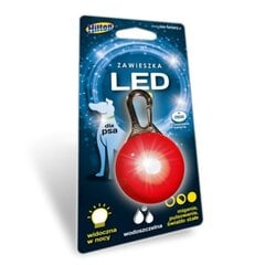 Koirien LED-riipus Hilton, 5.3x3 cm hinta ja tiedot | Koiran valjaat ja kaulapannat | hobbyhall.fi