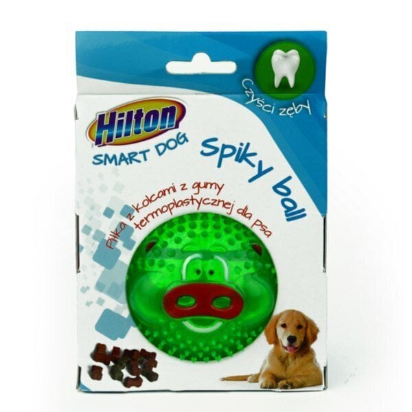 Lelu koirille Hilton Dog spiky ball, 8 cm hinta ja tiedot | Koiran lelut | hobbyhall.fi