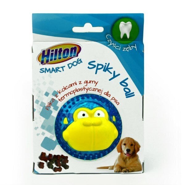 Lelu koirille Hilton Dog spiky ball, 8 cm hinta ja tiedot | Koiran lelut | hobbyhall.fi