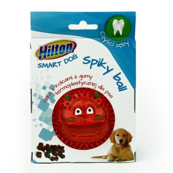 Lelu koirille Hilton Dog spiky ball, 8 cm hinta ja tiedot | Koiran lelut | hobbyhall.fi