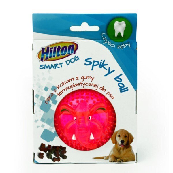 Lelu koirille Hilton Dog spiky ball, 8 cm hinta ja tiedot | Koiran lelut | hobbyhall.fi