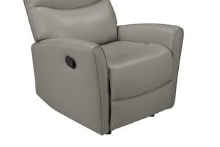 Nojatuoli recliner Notio Living Chesley, harmaa hinta ja tiedot | Nojatuolit | hobbyhall.fi