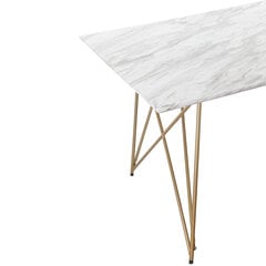 Ruokapöytä Notio Living, 120x80 cm, valkoinen hinta ja tiedot | Ruokapöydät | hobbyhall.fi