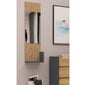 Peili Notio Living Kosmo, ruskea/harmaa hinta ja tiedot | Peilit | hobbyhall.fi