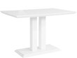 Ruokapöytä Notio Living, 120x80 cm, valkoinen hinta ja tiedot | Ruokapöydät | hobbyhall.fi