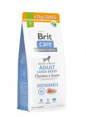 Brit Care Sustainable Adult Large Breed Chicken&Insect -kuivaruoka koirille, 12+2 kg hinta ja tiedot | Koiran kuivaruoka | hobbyhall.fi