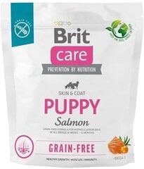 Brit Care Grain-free Puppy Lohi viljaton kuivaruoka pennuille, 1 kg hinta ja tiedot | Koiran kuivaruoka | hobbyhall.fi