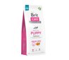 Brit Care Grain-free Puppy Lohi viljaton kuivaruoka pennuille, 12 kg hinta ja tiedot | Koiran kuivaruoka | hobbyhall.fi