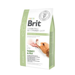 Brit GF Veterinary Diets Dog Diabetes, 2 kg hinta ja tiedot | Koiran kuivaruoka | hobbyhall.fi