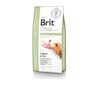 Brit GF Veterinary Diets Dog Diabetes, 12 kg hinta ja tiedot | Koiran kuivaruoka | hobbyhall.fi