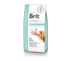 Brit GF Veterinary Diets Dog Struvite viljaton kuivaruoka koirille, 12 kg hinta ja tiedot | Koiran kuivaruoka | hobbyhall.fi