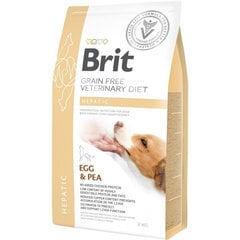 Brit GF Veterinary Diets Dog Hepatic viljaton kuivaruoka koirille, 2 kg hinta ja tiedot | Koiran kuivaruoka | hobbyhall.fi