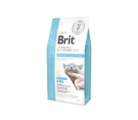 Brit GF Veterinary Diets Cat Obesity kuivaruoka kissoille, 2 kg hinta ja tiedot | Kissan kuivaruoka | hobbyhall.fi