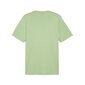 Puma T-paidat Miehille Ess+ 2 Col Small Pure Green 674470 95 hinta ja tiedot | Miesten T-paidat | hobbyhall.fi