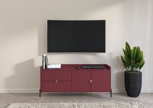 TV-kaappi Dancan IGA, 142x42x66 cm, viininpunainen hinta ja tiedot | TV-tasot | hobbyhall.fi